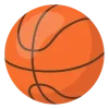 Phlwin Sports Basketball